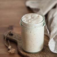 Crafty Cultures South African Sourdough Starter Culture